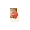 Nipple Métal rouge Cache tétons cœur 